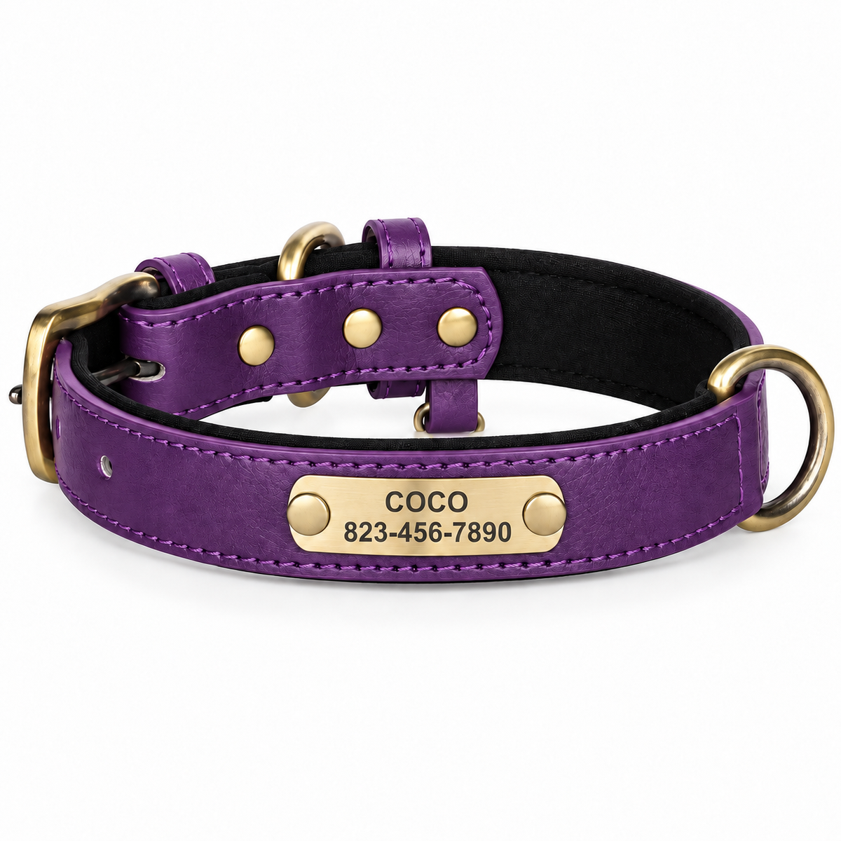 Personalised Leather Dog Collar with Engraved Nameplate