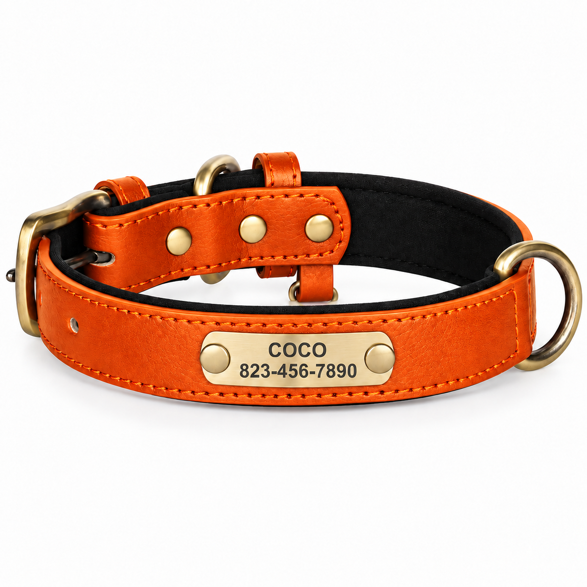 Personalised Leather Dog Collar with Engraved Nameplate